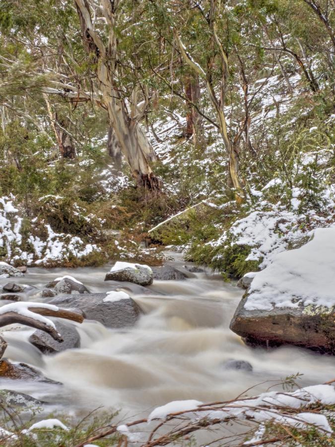 Big Yard Escapes - Two Off-Grid Tiny Houses On The Mowamba River Jindabyne Exterior foto