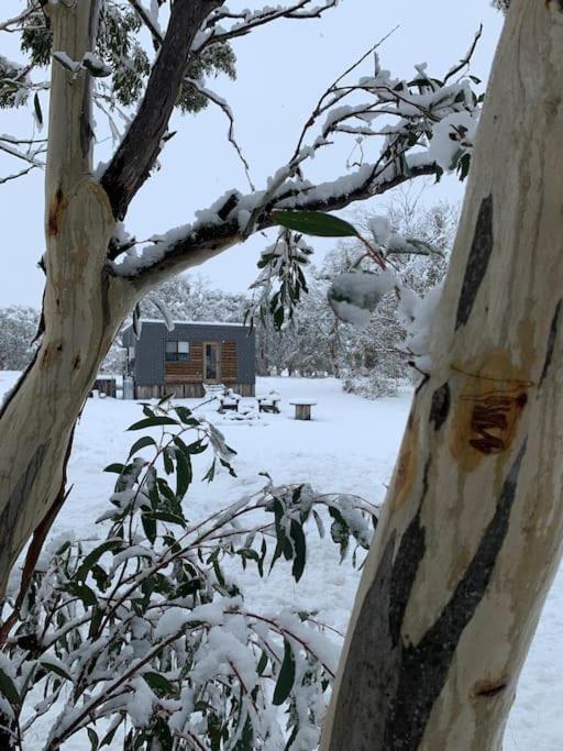 Big Yard Escapes - Two Off-Grid Tiny Houses On The Mowamba River Jindabyne Exterior foto
