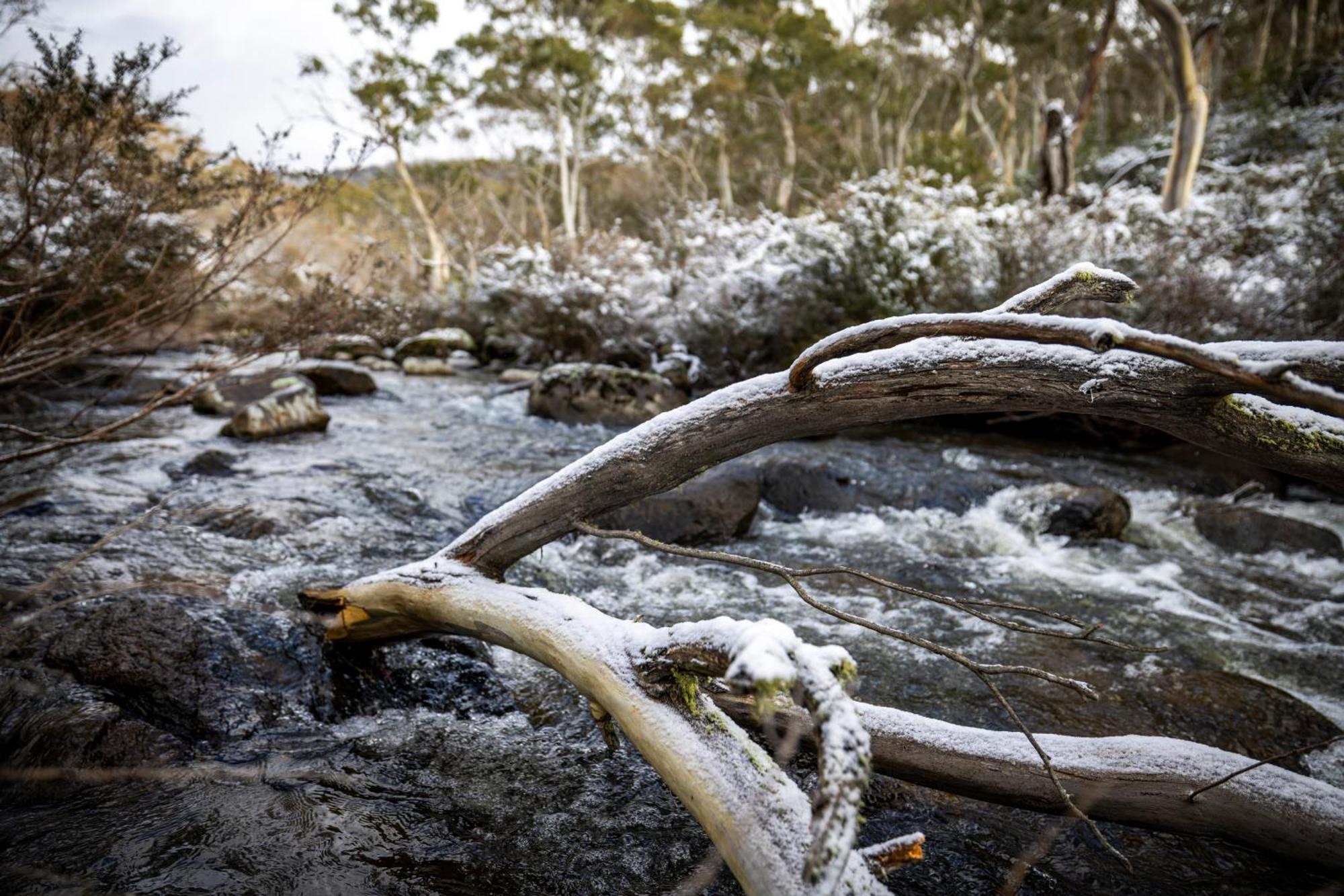 Big Yard Escapes - Two Off-Grid Tiny Houses On The Mowamba River Jindabyne Exterior foto